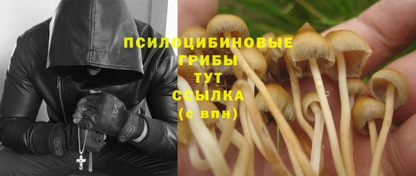 бутират Белокуриха