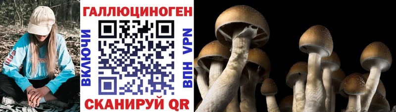 нарко площадка телеграм  Вельск  Псилоцибиновые грибы ЛСД 